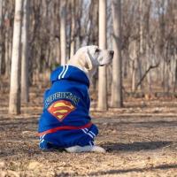 超人蓝色四脚卫衣 XXL建义体重11-17斤 金毛衣服大狗狗拉布拉多大中型犬萨摩耶哈士奇宠物边牧秋冬装四脚