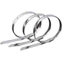 4.6*300 10根304不锈钢 304不锈钢扎带自锁4.6MM电线桥架金属扎带室外抗氧化船用束线绑带