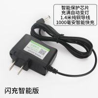 电子秤闪充智能版充电器 电子秤电瓶4V4AH4V5AH台秤磅秤地秤电子称通用蓄电池4伏5安电池