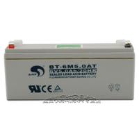 品牌：赛特，闽台合资企业,产品远销海内外 电子秤吊秤6V5.0Ah蓄电池赛特BT-6M5.0AC梅特勒托利多电子秤电瓶