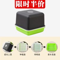 新款水培花生盒一个(特价款) 花生芽水培箱发芽神器种植盘育苗盘盆花生种子籽豆芽发芽盆豆芽菜