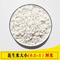 机制白0.5-1厘米[5斤装]B 鹅卵石雨花石小石子原石鱼缸花盆装饰盆栽造景园艺彩石头5斤装