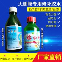 聚乙烯粘合剂250ml/瓶 1瓶 大棚膜粘合剂聚乙烯聚氯乙烯薄膜修补修复胶水防水黏合剂胶带厂家
