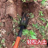 单木把 洛阳铲尖铲尖锹取土打洞神器挖白薯锹挖沟锹长筒锹
