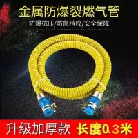 30厘米燃气管（带卡箍双插口） 防爆天然气液化气波纹软管热水器灶具连接管金属家用管道燃气管