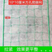 双包边[长度锁边]10厘米网孔 1米宽*2米长[送绑绳] 种植爬藤网植物攀爬网家用蔬瓜果网 种黄瓜百香果 园艺菜园爬藤网