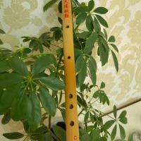 C调(初学)+基础套餐 笛子初学 素笛 一节笛入门 横笛初学 成人学生零基础 厂家直供