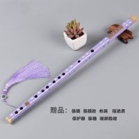 紫色笛子+赠品 G调 笛子初学横笛 一节零基础入门古风乐器efg苦竹笛白紫黑色送挂件
