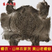 蟾衣5张 蟾衣蟾蜍衣干蟾衣老干蟾蜍皮癞蛤蟆皮蟾蜍皮粉疥赖蛤蟆蟾蜕壳活体