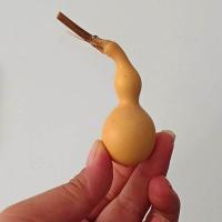 14号 蚂蚁肚葫芦 天津嘴葫芦 异形葫芦 长嘴葫芦 精品实拍 一物一图