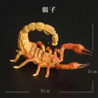 蝎子 自然界爬行动物模型蛇甲鱼乌龟蜥蜴变色龙穿山甲儿童蛊惑玩具礼物