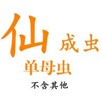 仙母虫成虫 独角仙甲虫宠物成虫幼虫姬兜巨型超大兜虫花金龟活体锹甲长戟战神