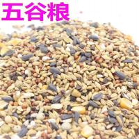 五谷粮50克体验装(2份送跑球) 仓鼠粮食(2份送跑球)主粮鼠粮仓鼠木屑面包虫干仓鼠用品仓鼠套餐