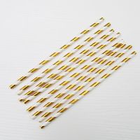 吸管10根 户外野餐盘子ins一次性餐具野餐餐具盘儿童派对布置装饰蛋糕碟子