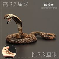 栗色 眼镜蛇(小!) 儿童实心爬行/节肢动物玩具仿真动物模型 鳄鱼 眼镜蛇 响尾蛇蟒蛇