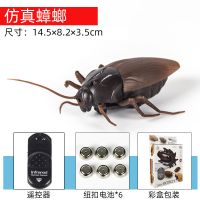 仿真蟑螂 儿童遥控玩具仿真假蛇吓人会动眼镜蛇响尾蛇大蟒蛇动物蜘蛛蜈蚣
