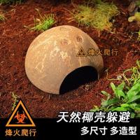 小号直径9-11cm 买2送1 赠品 天然椰壳躲避屋造景制品 带绳梯椰壳窝 寄居蟹爬虫宠物躲避窝