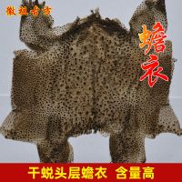 蟾衣10张 蟾衣10张 蟾蜍皮蟾蜍衣癞蛤蟆皮活体蟾蜍干蟾蜍皮粉赖疥蛤蟆蟾蜕