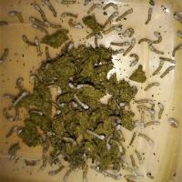 白色小盒5克装 饲料蚕宝宝白色 幼蚕小蚕全龄饲料蚕白色/送蚕卵需拍下/取代桑叶