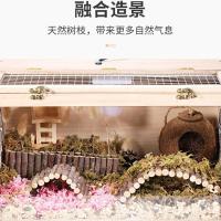 尺寸10cm*15cm 苹果木树枝围栏仓鼠拱桥刺猬躲避小宠玩具兔子磨牙玩用品豚鼠造景