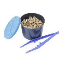 高蛋白活体虫50条保鲜盒+镊子 爬宠食物高蛋白活体虫子守宫麻蜥蜴蜘蛛壁虎食面包虫凤凰虫高营养