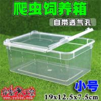 小号盒(透明) 爬虫饲养盒爬宠箱蚕宝宝蜘蛛角蛙守宫盒蜥蜴宠物蛇蜗牛昆虫乌龟缸