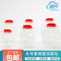 透明5斤(无内盖） 泡菜坛子家用透明塑料密封腌制罐腌菜坛子储物罐小中大号