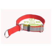 红色 1个 细犬反光项圈反光脖套夜光格惠灵慧格力灵缇惠比特细狗项圈脖套
