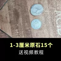 1-3cm(15个) 彩绘鹅卵石头DIY手绘鹅卵石原石儿童绘画石卡通乌龟晒台扁平石