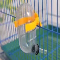 60毫升胶卡扣颜色随机 小宠饮水器蜜袋鼯松鼠仓鼠兔子刺猬荷兰猪土拨鼠用品防漏滚珠水壶