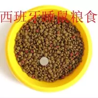 睡鼠粮食 西班牙睡鼠幼崽活物好养的小宠物小型学生宿舍粘人迷你小宠物粮食