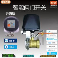 涂鸦WIFI版 涂鸦智能WIFI电动水阀门控制器手机无线开关遥控远程气阀机械手