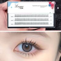 8 鹿瑶假睫毛A型毛仙女毛点缀毛单簇分段自然仿真卷翘C翘 07朵毛