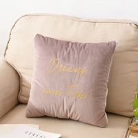 藕粉色[刺绣款] 抱枕:40*40cm毛毯:120*160cm 加大刺绣款抱枕被子两用汽车珊瑚绒折叠空调毯办公室靠垫午睡