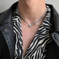 网红潮男项链 钛钢项链男潮嘻哈小众男士百搭日系简约轻奢锁骨链高级感男生配饰