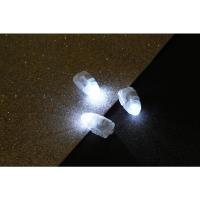 10只白光 发光手工DIY电子灯灯源灯笼灯芯模型刺身七彩灯led小灯泡纽扣电池