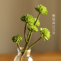 春色纯绿 掬涵 仿真多肉植物多头石竹装饰摆件塑料手感胶花簇花束绿植