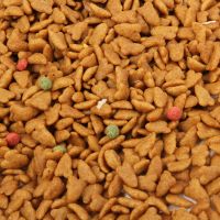 三拼通用粮[均衡营养] 一斤试用装[无赠品] 1-6个月哺乳期幼猫专用奶糕猫粮蓝猫发腮增肥调理肠胃流浪猫成猫