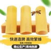 强蜂牌中蜂巢础30片养蜂用具 强蜂牌中蜂巢础30片养蜂用具