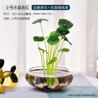 小号水晶圆缸[送鹅卵石+铜钱草] 办公室小鱼缸加厚透明玻璃乌龟缸客厅家用桌面圆形迷你小型金鱼缸