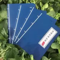 养蜂工具诱捕野蜂秘籍蜜蜂书籍野外捕蜂诱蜂招蜂水诱蜂蜡蜜蜂蜂具 养蜂工具诱捕野蜂秘籍蜜蜂书籍野外捕蜂诱蜂招蜂水诱蜂蜡蜜蜂蜂