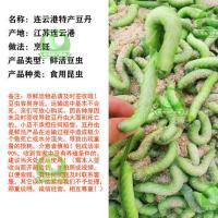 绿色豆青虫[5条装] 豆青虫豆丹活体豆虫活豆丹虫豆丹活虫豆丹大青虫活饵芝麻虫猪儿虫