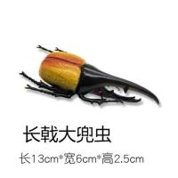 长戟大兜虫 仿真昆虫模型大号甲虫标本玩具独角仙大兜虫早教认知动物儿童礼物