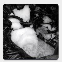 12组固化除臭剂 移动马桶车载马桶专用固化剂除臭剂应急户外厕所便携坐便器清洁剂