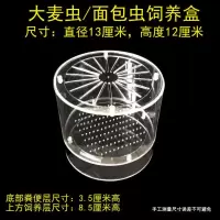 面包虫/大麦虫饲养盒 黄粉虫活体饲料饲养盒面包虫大麦虫活体饲料亚克力饲养盒工具
