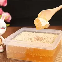 切割枣花蜂巢蜜250g 带勺 枣花蜂巢蜜一斤 自产枣花蜜百花土蜂蜜嚼着吃的蜂蜜250g到1000g