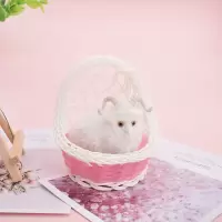吊篮小绵羊 不叫 迷你吊篮提篮仿真会叫小猫动物模型公仔玩偶儿童过家家玩具摆件