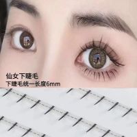 下睫毛+2仙子+2鱼尾 5条装1盒(送镊子) 虞书欣仙子眼睫毛混合装鱼尾仙女毛a型假睫毛女单簇嫁接自然仿真
