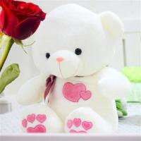 粉红色(爱心熊) 45厘米 泰迪熊抱抱熊大号公仔玩偶毛绒玩具布娃娃抱枕熊猫生日礼物送女生