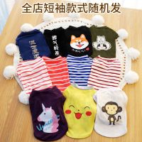 夏款随机发 XS(建议1-3斤) 猫咪衣服秋冬夏装夏季薄款秋天蓝猫衣服小奶猫幼猫宠物狗狗冬装